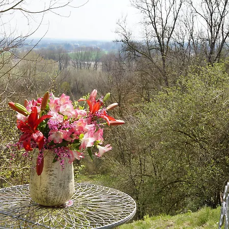 Schranner's Szálloda 3*