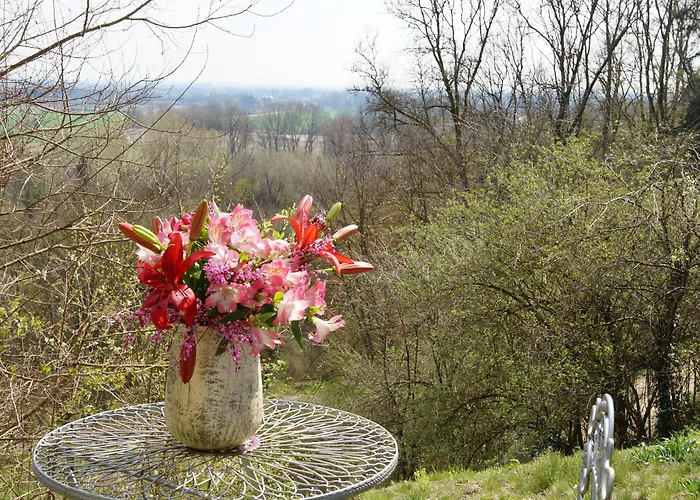 Schranner's מלון 3*